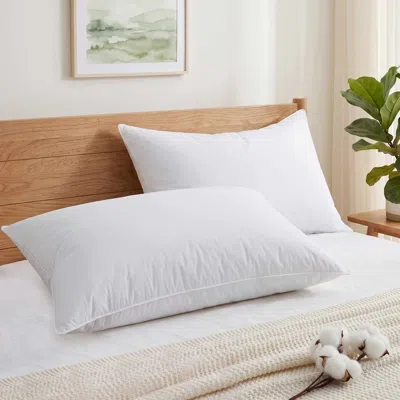Peace Nest Gray Goose Feather Bed Pillows With 100% Cotton Cover, Set Of 2 In White