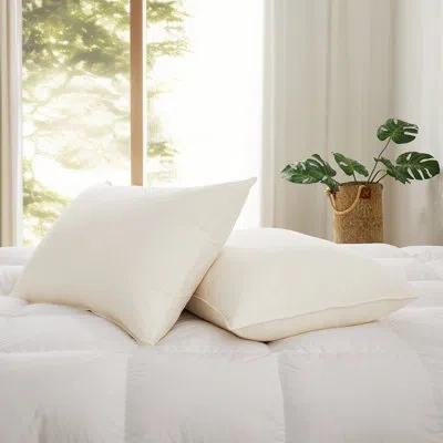 Peace Nest Reversible Pillow Insert In White Wash