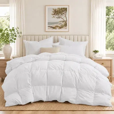 Peace Nest White Goose Down Feather Fiber Comforter All Season Duvet Insert – Ultra Soft Noise-free Bedding Wit