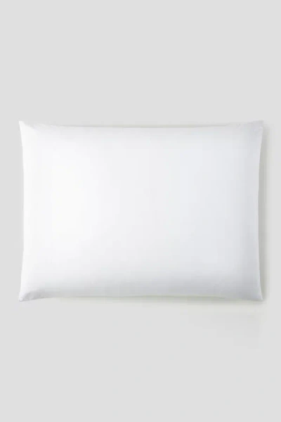 Peacock Alley 40 Winks Washed Percale Sleeping Shams In White