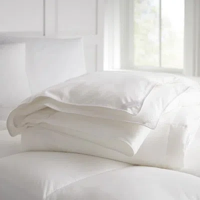 Peacock Alley All Season Down Comforter In White