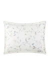 PEACOCK ALLEY AVERY PERCALE SHAM