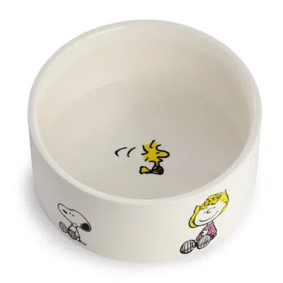 Peanuts Charlie Brown And Friends Snack Time 6in Stoneware Pet Bowl In White