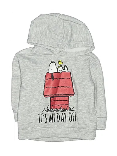 Pre-owned Peanuts Babies' Pullover Hoodie In Silver