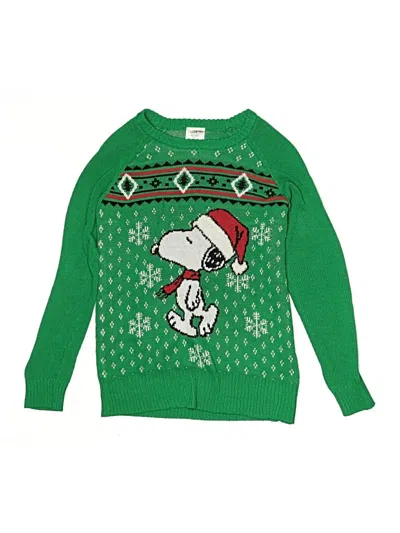Pre-owned Peanuts Kids' Pullover Sweater In Green