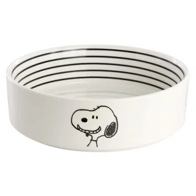 Peanuts Suppertime Favorites 6.5in Stoneware Pet Bowl In White