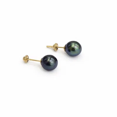 Pearl Code Women's Luna Black Pearl Stud Earrings, Yellow Gold