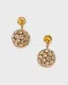 Pearl Octopuss.y Örhängen Crystal Spheres Guld