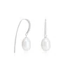 Pearls Of The Orient Online Women's Silver / White Stella Cultured Freshwater Pearl Drop Earrings On Long Pave Silver Hooks In Multi