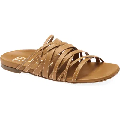Pedro Garcia Bety Slide Sandal In Brown