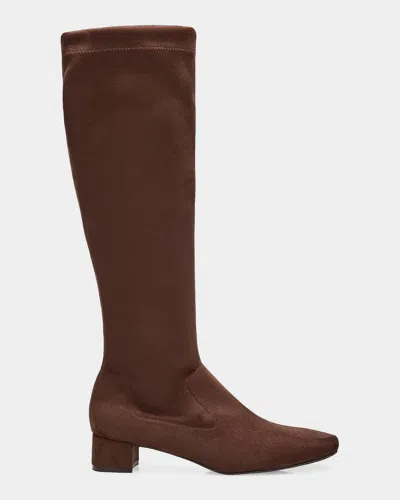 Pedro Garcia Eneida Suede Knee-high Boots In Brown