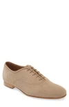Pedro Garcia Gerti Water Resistant Plain Toe Oxford In Truffle Bessie Suede