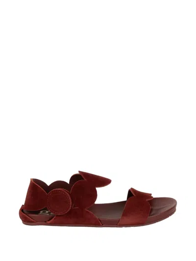 Pedro Garcia Jeanne Scalloped-edge Touch-strap Sandals In Burgundy