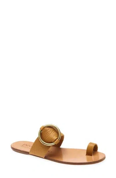 Pedro Garcia Pema Flat Slide Sandal In Brown