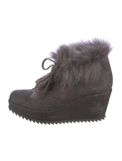 Pre-owned Pedro Garcia Suede Pumps In Brown