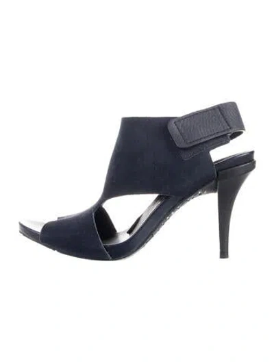 Pre-owned Pedro Garcia Suede Slingback Sandals In Blue