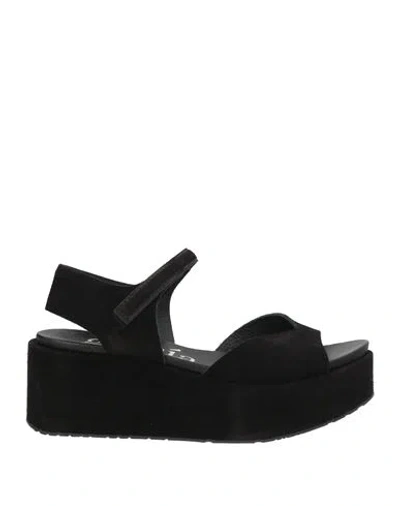 Pedro Garcia Pedro García Woman Sandals Black Size 8 Leather