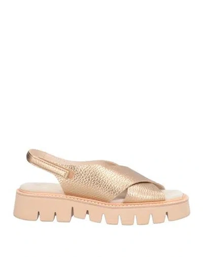 Pedro Garcia Pedro García Woman Sandals Gold Size 7 Cow Leather In Brown