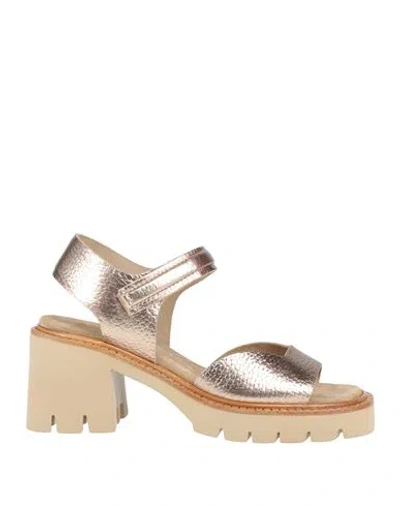 Pedro Garcia Pedro García Woman Sandals Platinum Size 7 Cow Leather In Grey