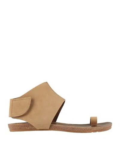 Pedro Garcia Pedro García Woman Thong Sandal Tan Size 6.5 Leather In Multi