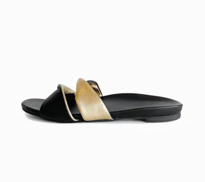 Pedro Garcia Women's Bego Sandal In Black
