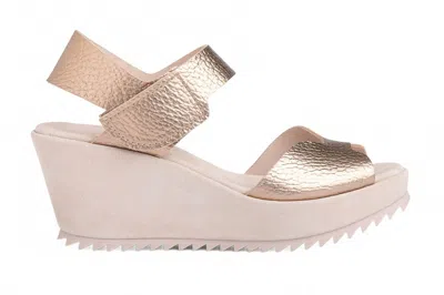 Pedro Garcia Women's Fama Wedge In Cava In Neutral