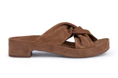Pedro Garcia Women's Livana Twist Clog In Hazelnut In Multi
