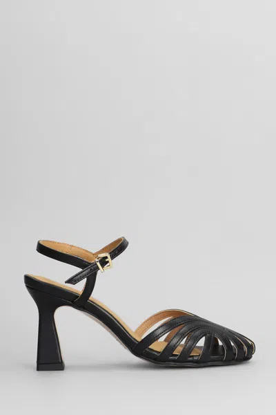 Pedro Miralles Sandals In Black
