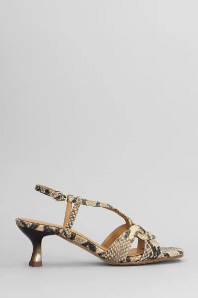 Pedro Miralles Sandals In Multi