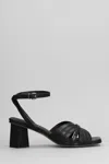 Pedro Miralles Sandals In Black