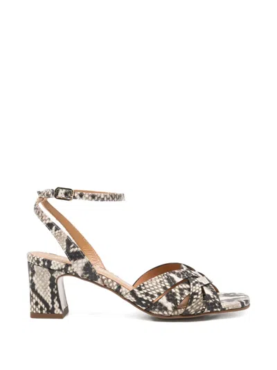 Pedro Miralles Snakeskin-effect Crossover-strap Sandals In Multi