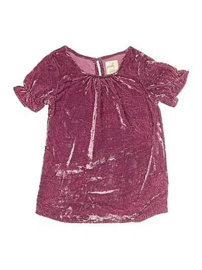Pre-owned Peek Kids' ... Short Sleeve T-shirt In Burgundy