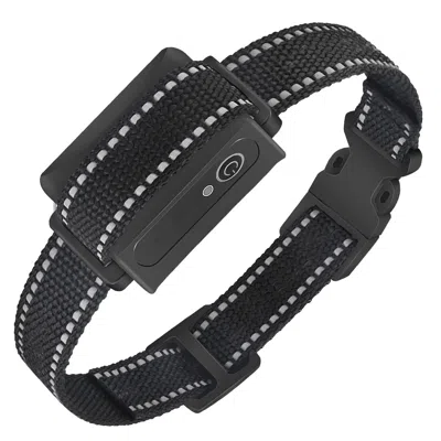 Peepets Dog Training Collar Receiver Ip67 Waterproof Dog Bark Shock Vibration Beep Receiver Up To 3280ft In Gold