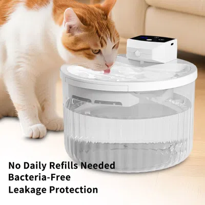 Peepets Late Night Silent Pet Cat Automatic Water Dispenser With Silent Circulation And Flowing Water, Allow In Yellow