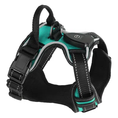 Peepets Light Up Dog Harness Rechargeable Led Dog Harness No Pull Lighted Dog Vest With Handle For Large Dog In Green