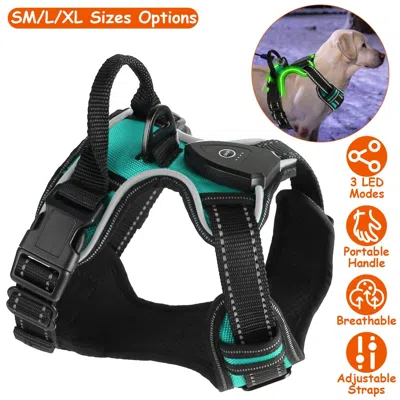 Peepets Light Up Dog Harness Rechargeable Led Dog Harness No Pull Lighted Dog Vest With Handle For Medium Do In Black