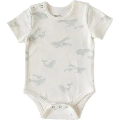 Pehr Babies'  Follow Me Organic Cotton Bodysuit In Gray