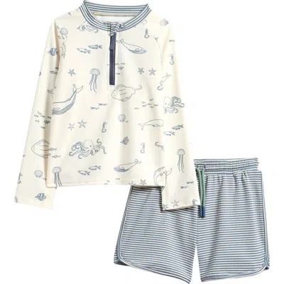 Pehr Babies'  Kids' Two-piece Long Sleeve Rashguard & Trunks Swimsuit Set In Multi