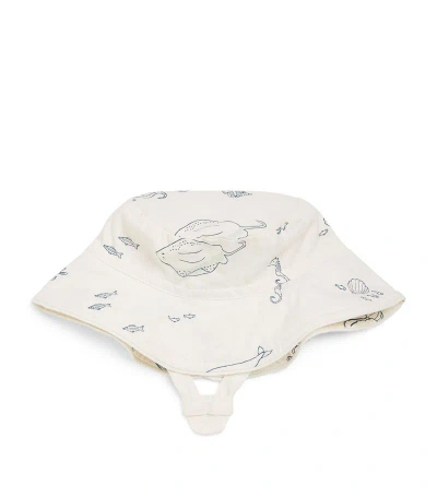 Pehr Organic Cotton Bucket Hat (0-6 Months) In Multi