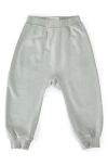 Pehr Babies'  Organic Cotton French Terry Harem Pants In Green