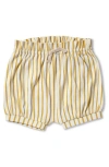 Pehr Babies'  Stripes Away Bubble Shorts In Brown