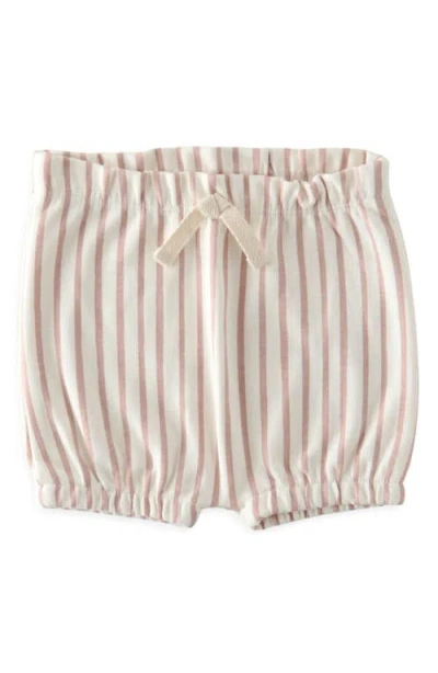 Pehr Babies'  Stripes Away Organic Cotton Bloomers In Neutral