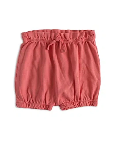 Pehr Unisex Bloomer Shorts - Baby In Tomato