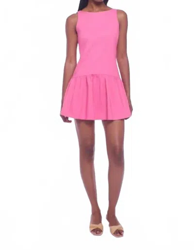 Peixoto Addison Mini Dress In Pink Carnation