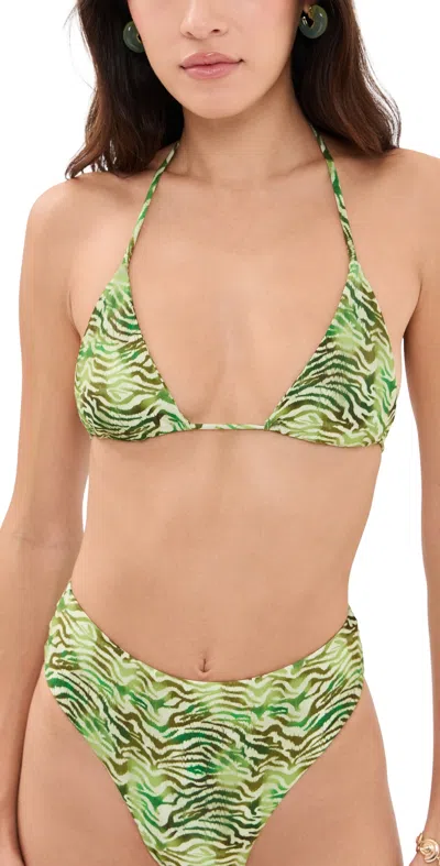 Peixoto Benji Bikini Top Wild Grove In Green