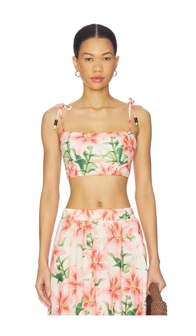 Peixoto Esti Top In Pink