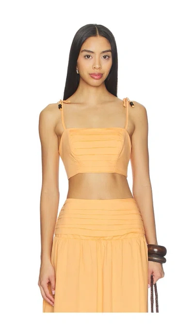 Peixoto Ezra Top In Orange