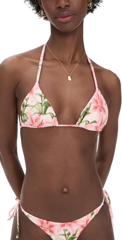Peixoto Fifi Bikini Top Hawaiian Bloom In Pink