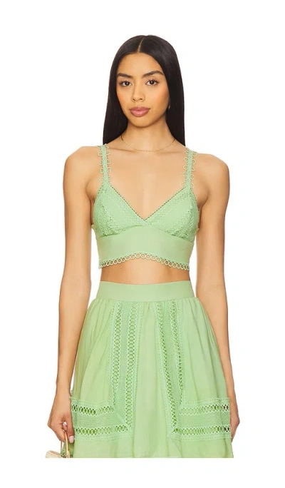 Peixoto Jasmine Crop Top In Green