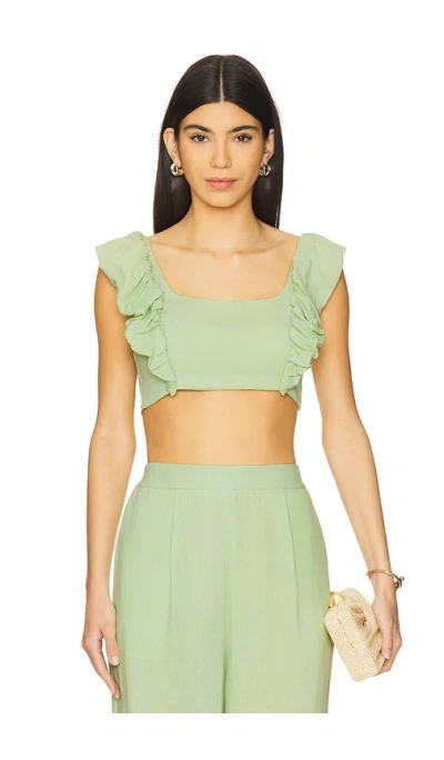 Peixoto Jocelyn Crop Top In Matcha Latte
